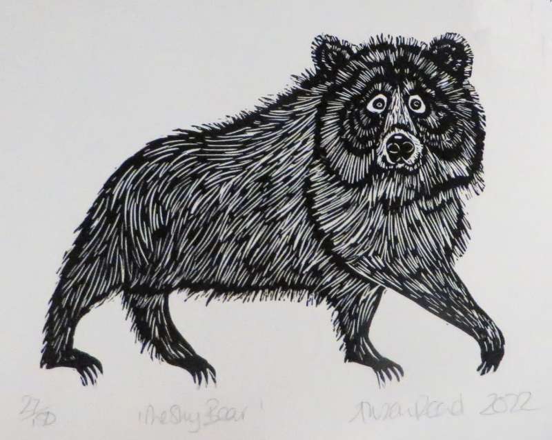 Shy Bear